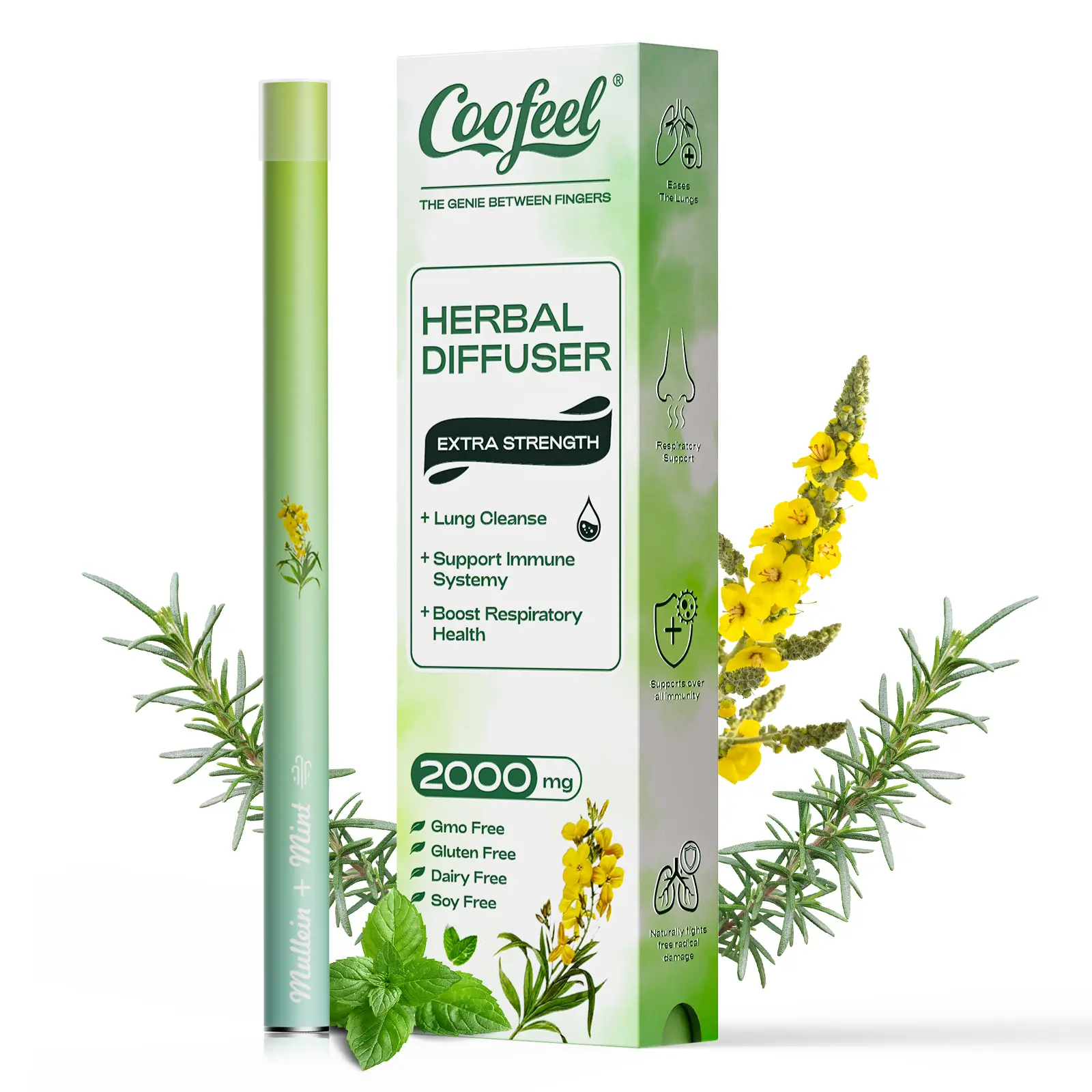 Coofeel Mint Herbal Diffuser 2000mg (Mullein, Thyme & B12)