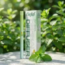 Mint Herbal Diffuser Pen