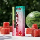 Watermelon Herbal Diffuser Pen