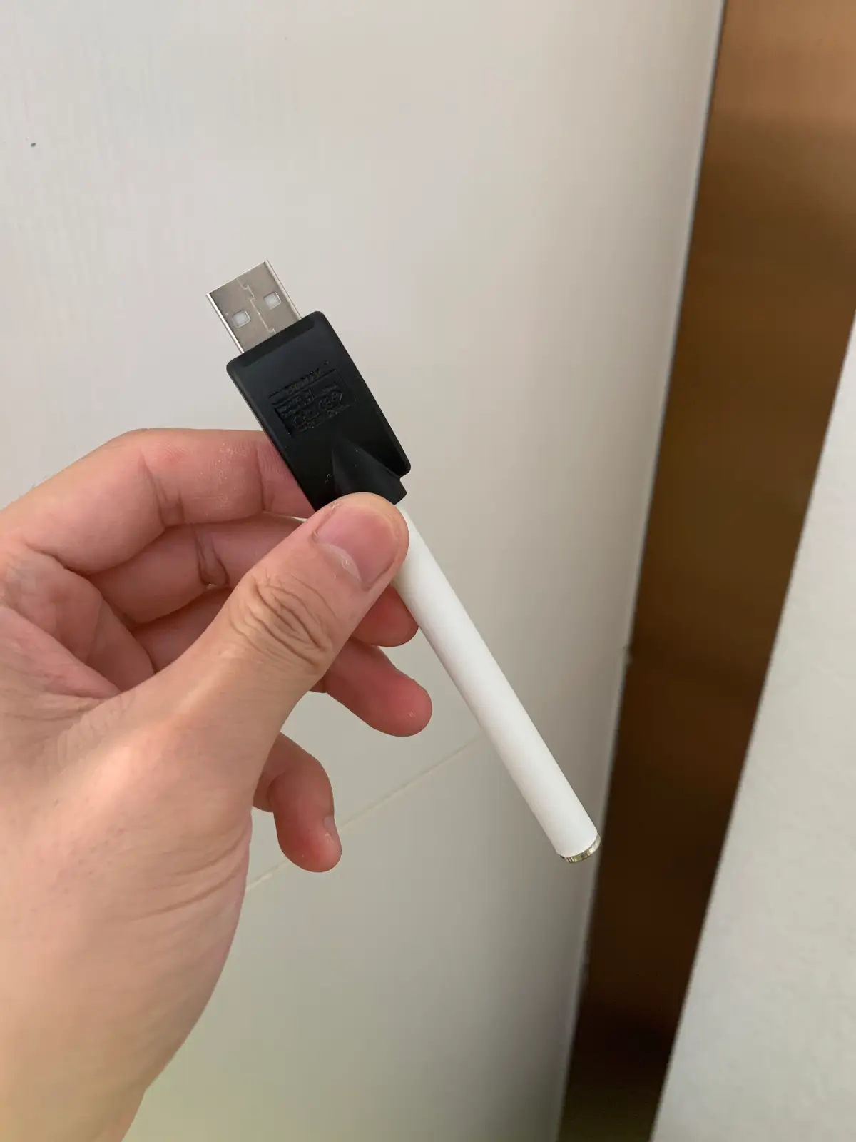 3-in-1 Rechargeable Herbal Diffuser Pen photo review