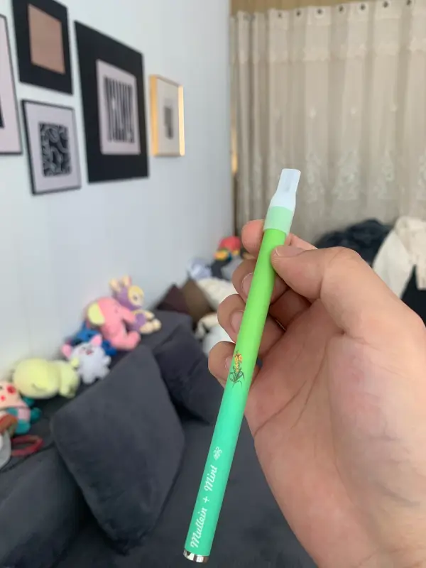 Mint Herbal Diffuser Pen photo review