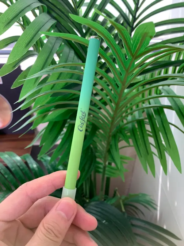 Mint Herbal Diffuser Pen photo review