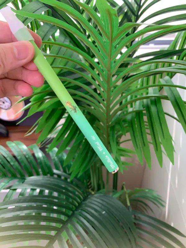 Mint Herbal Diffuser Pen photo review