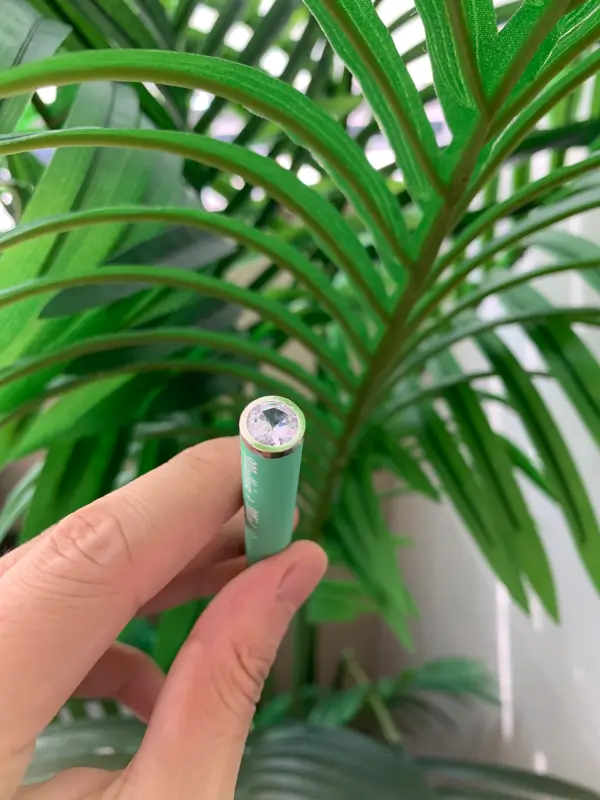 Mint Herbal Diffuser Pen photo review