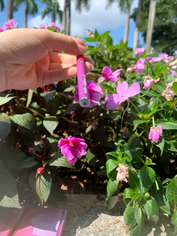 NAD+ Diffuser Pen – Mixed Berry photo review
